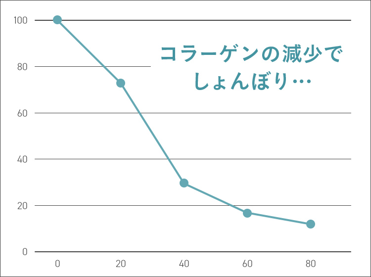 コラーゲン　減少　年齢　バスト　ハリ　垂れ