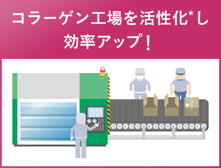 バスト　ハリ　復活　コラーゲン　活性化