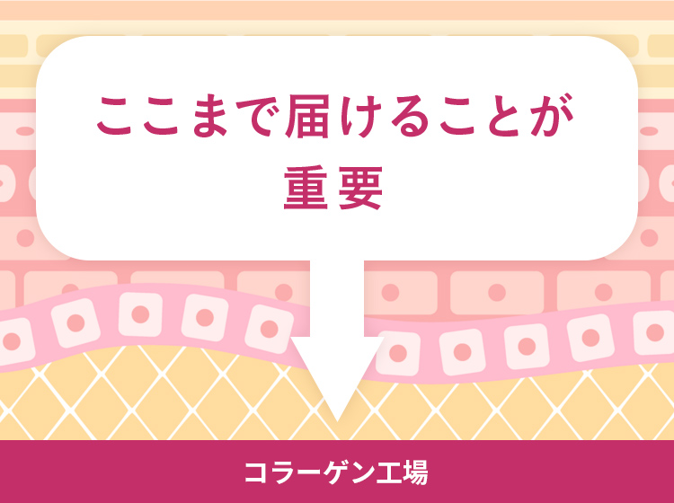 コラーゲン　浸透　届く　バスト
